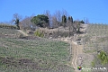VBS_8902- Risvegli